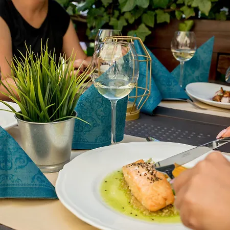 Hotel Diament Katowice - Siemianowice 3*