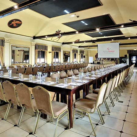 Diament Katowice - Siemianowice Hotel Siemianowice Slaskie